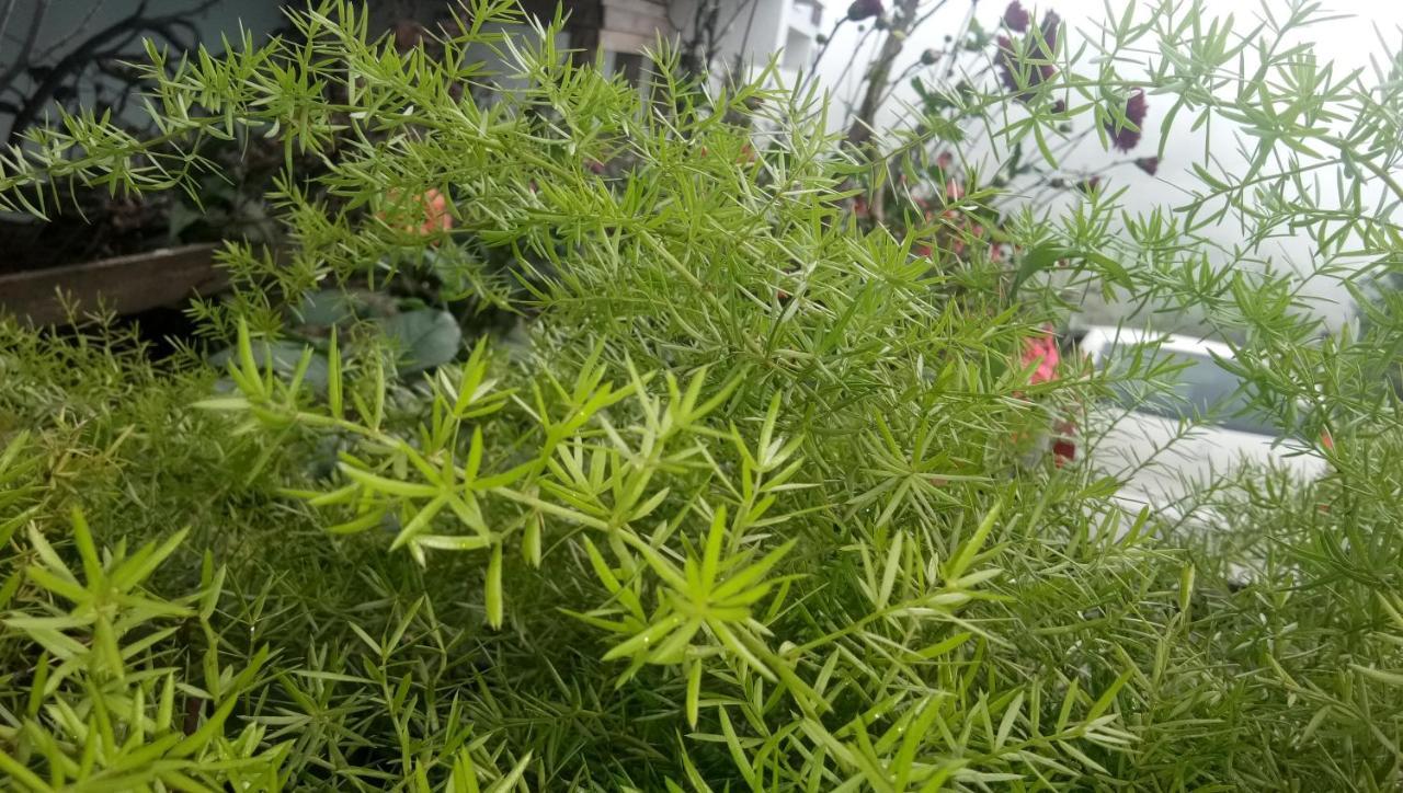 Ezhil Residency Hotel Kodaikanal Buitenkant foto
